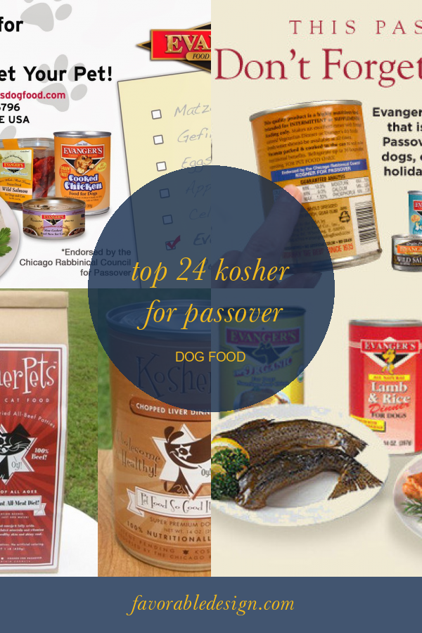 The top 24 Ideas About Passover Activities for Sunday School Home